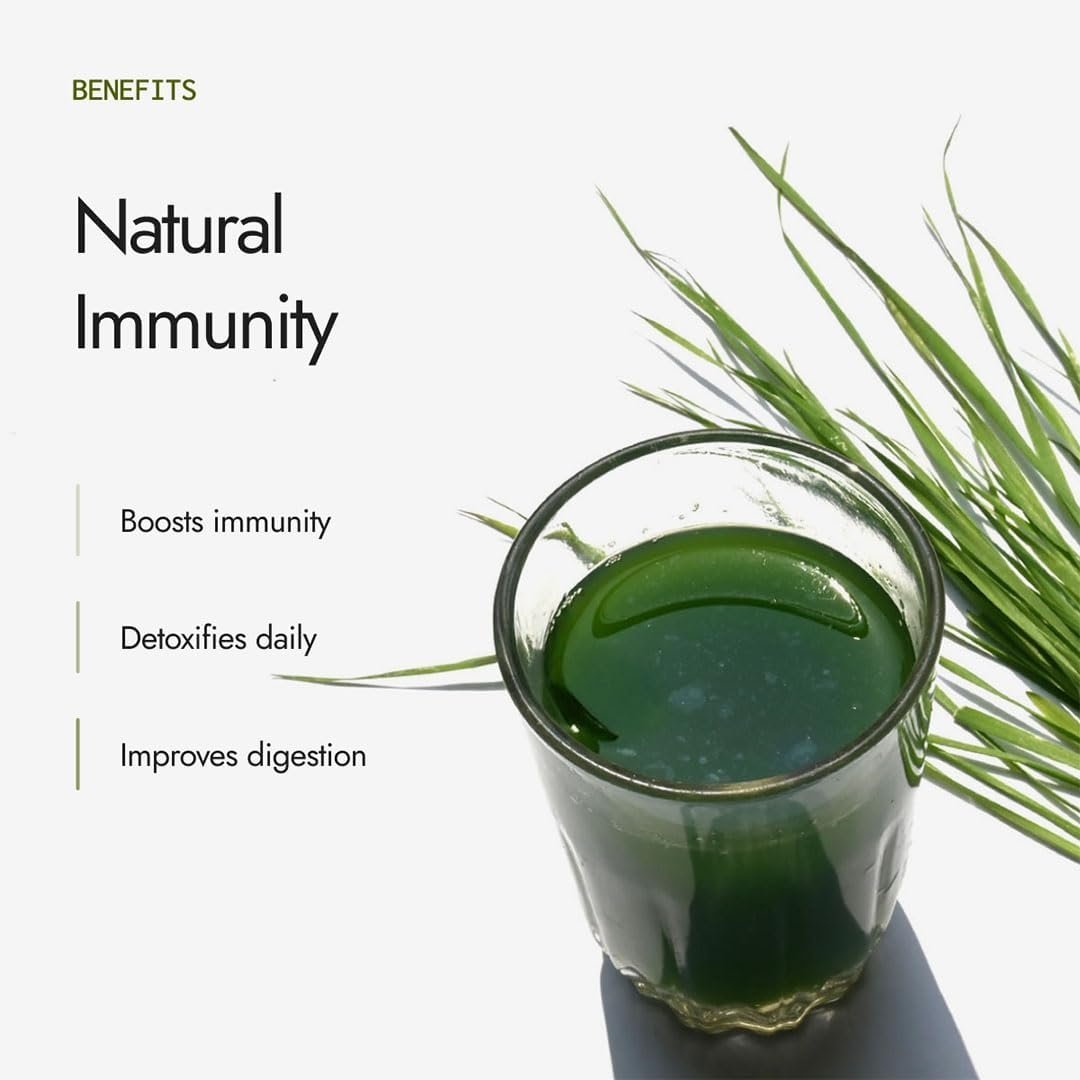 Kapiva Organic Wheatgrass Powder 100g (Pack of 2) - Image 3